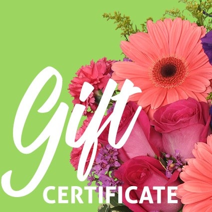 Gift Certificate